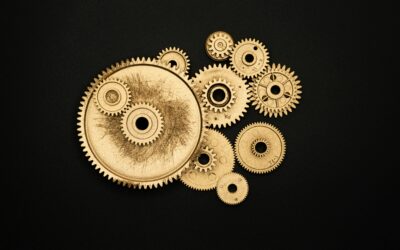 The rhythm of development